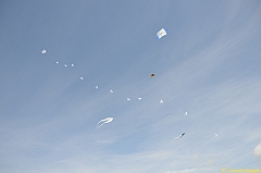 Venice kite festival_0004